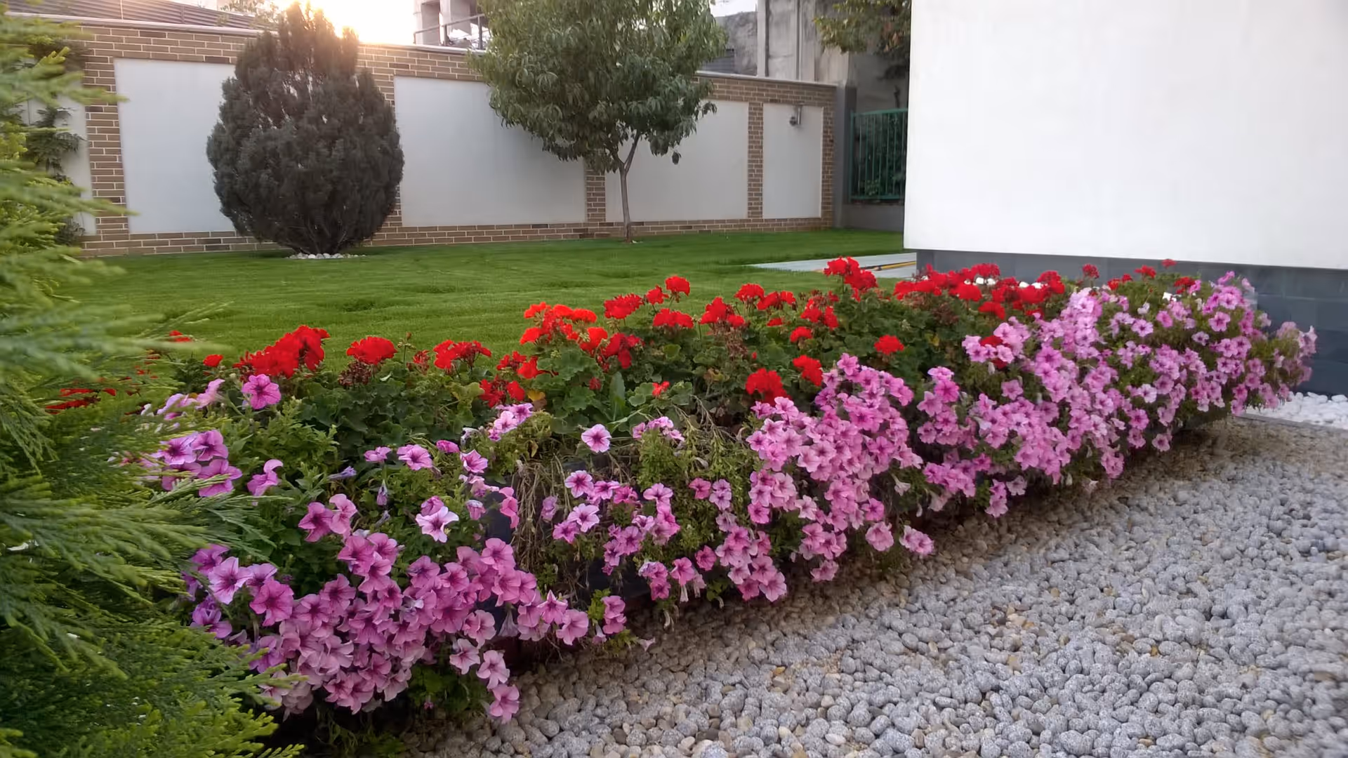 Gazon tuns îngrijit și grădină întreținută de Sara's Gardens