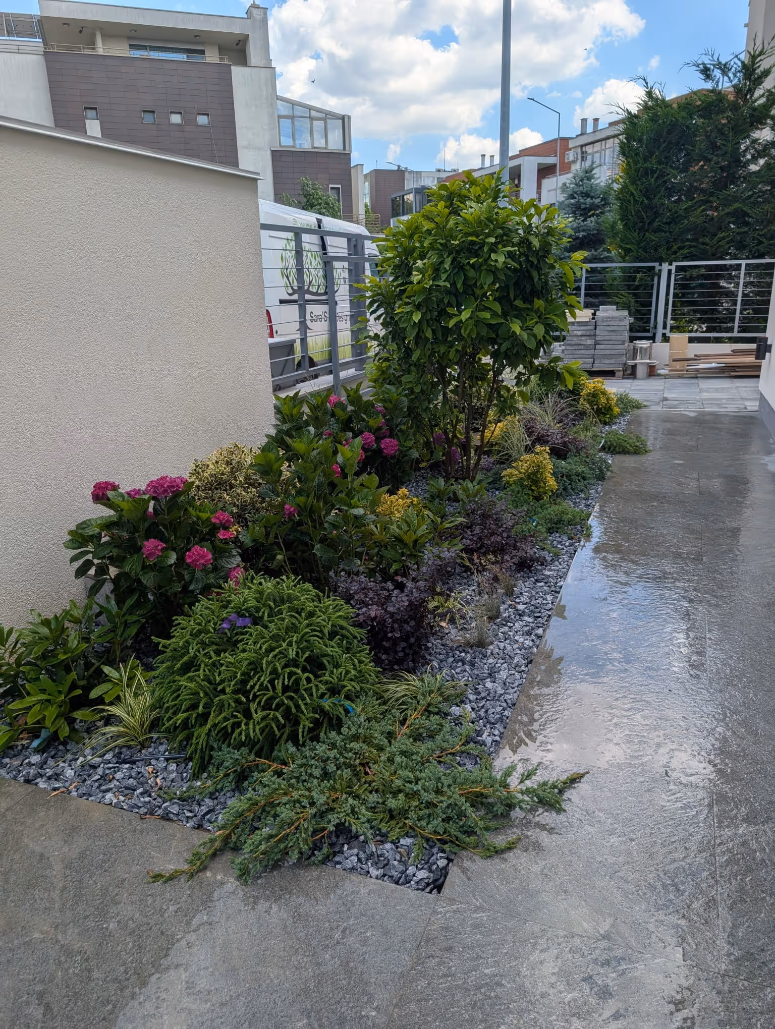 Alee pavată de curte cu bordură de arbuști, flori roz și pietriș decorativ