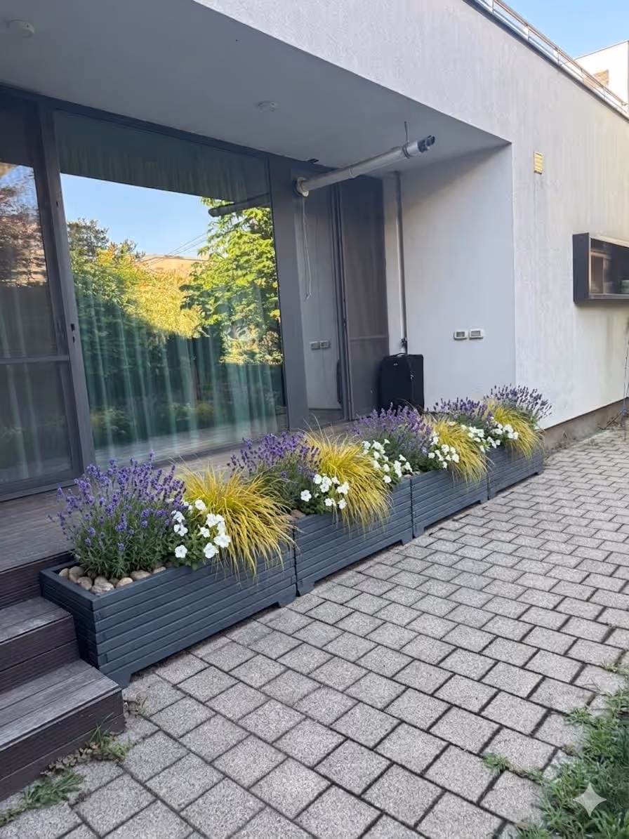 Intrare modernă cu jardiniere dreptunghiulare plantate cu lavandă și graminee