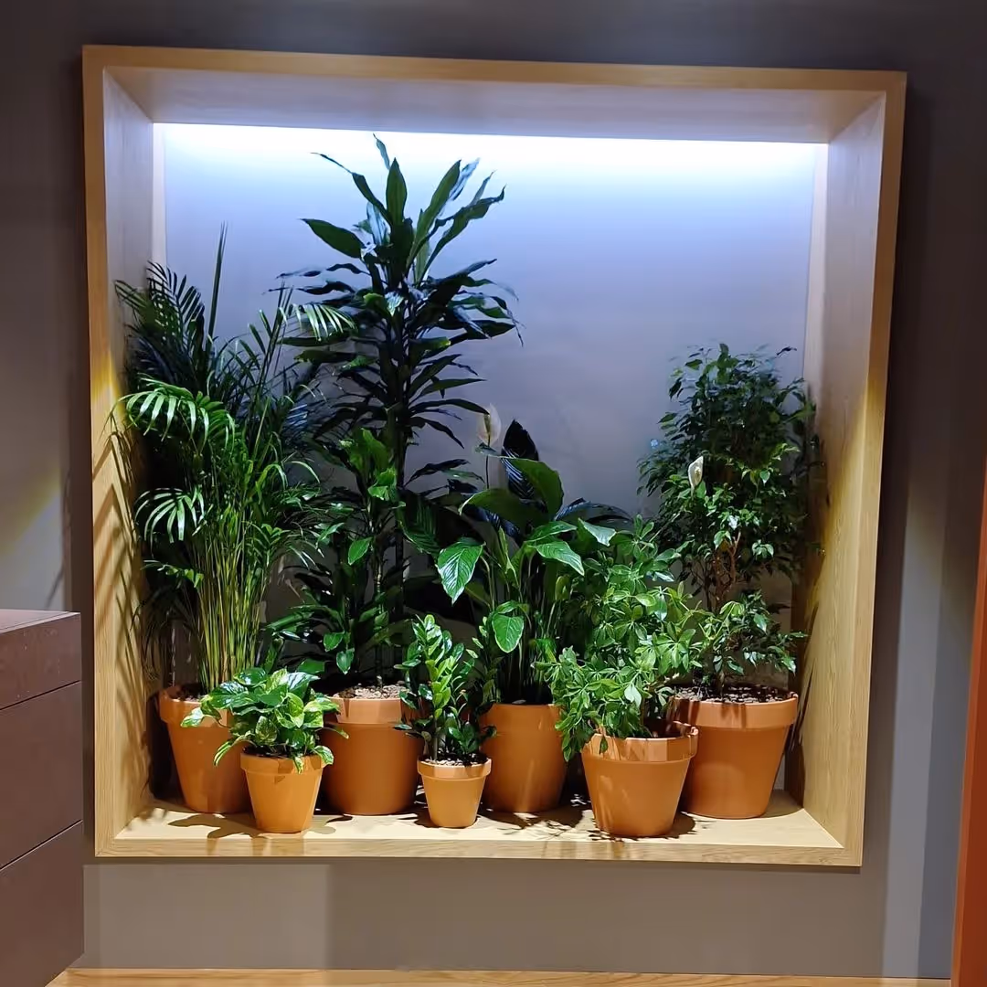 Nișă iluminată cu plante tropicale în ghivece de teracotă, amenajare interioară