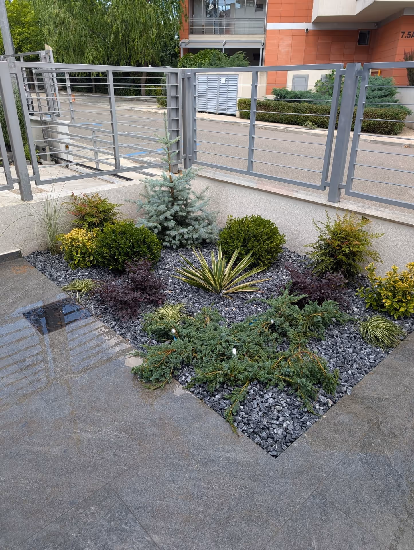 Strat decorativ cu pietriș negru, molid argintiu, buxus și yucca
